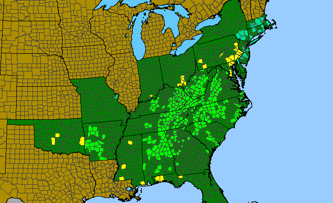 The range of Magnolia tripetala